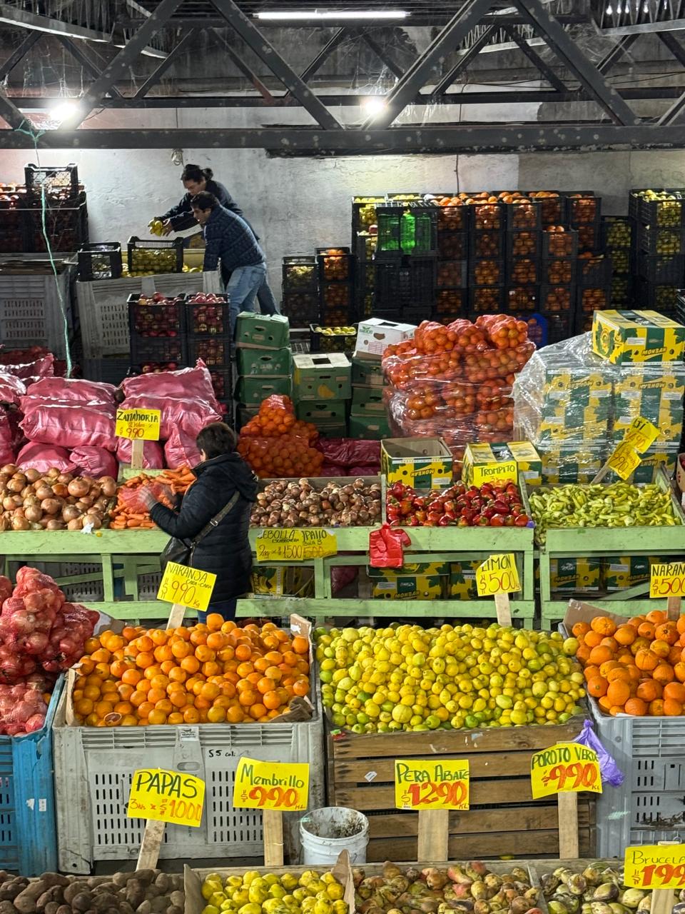 Imagen de la galería